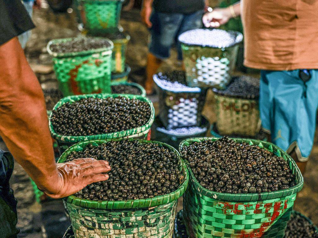 Why China And The World Are Choosing Fruit Purées And Frozen Fruit